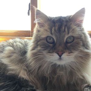 Meet your Posher, Karleen